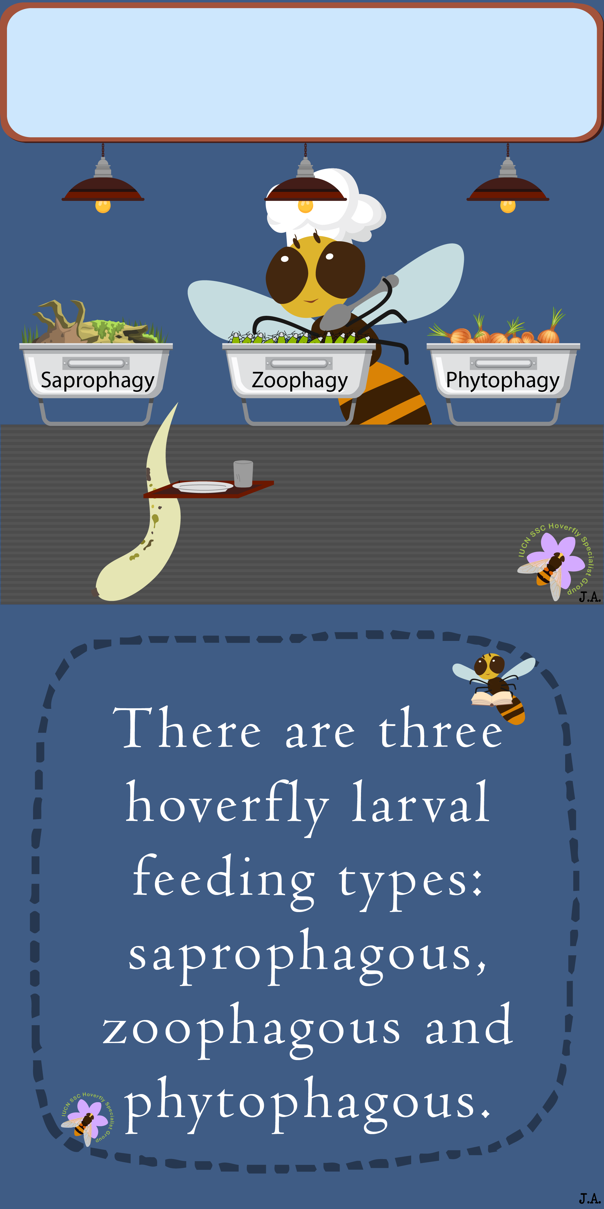 Hoverfly Fact 6